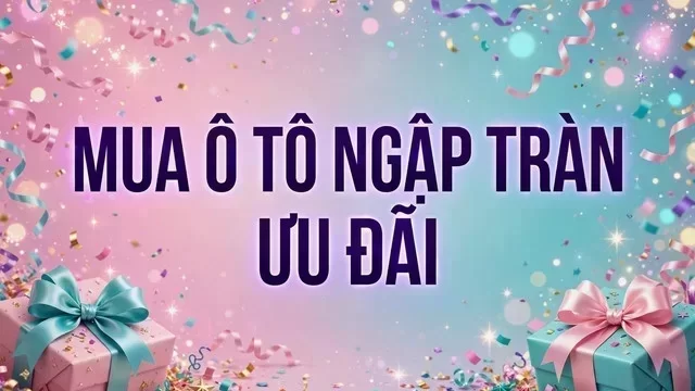 Địa điểm hỗ trợ xem xe tại Đà Nẵng